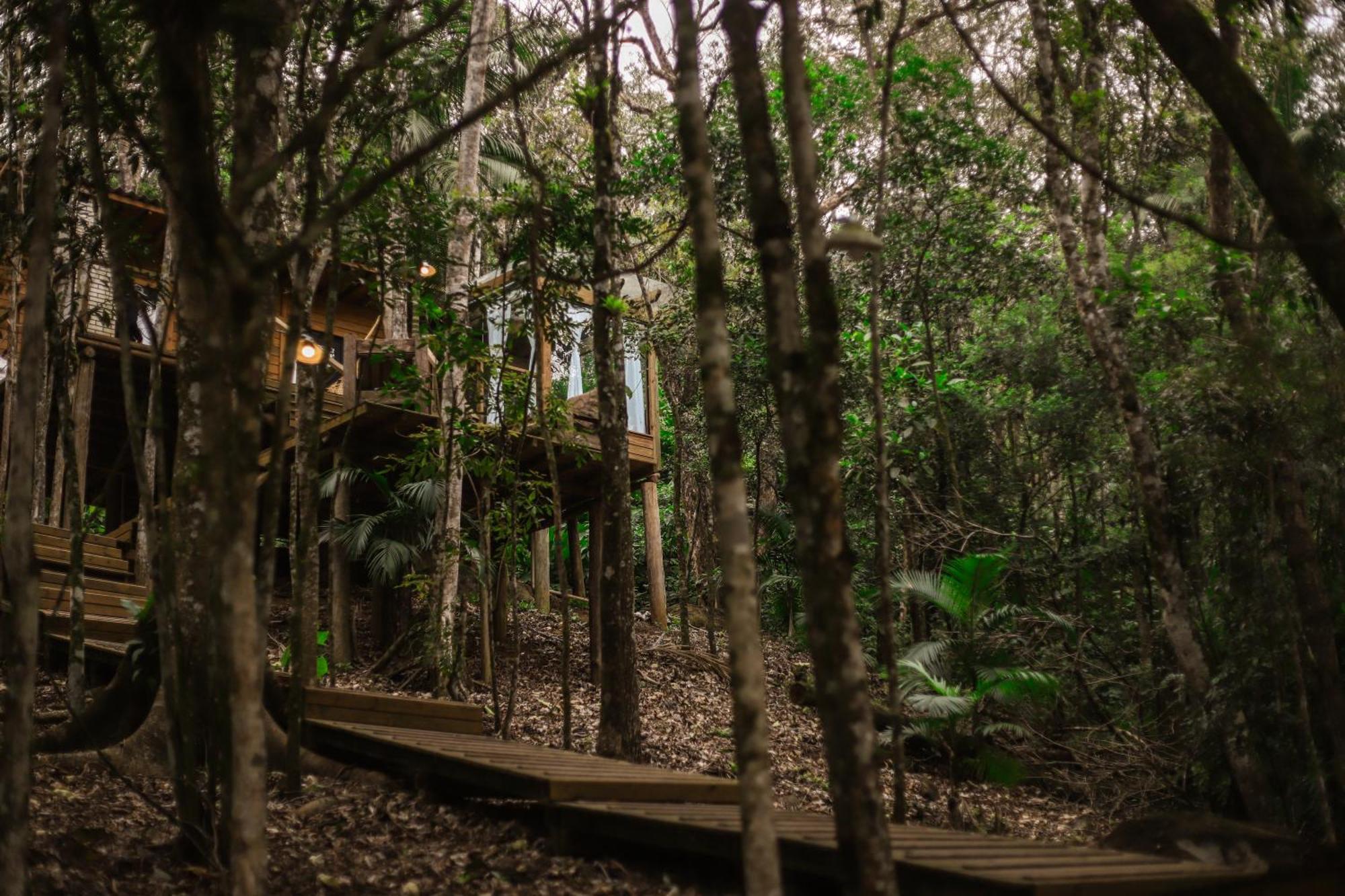 Chale Da Arvore, Vivenda Serra Velha, Chales De Montanha Timbe do Sul Екстер'єр фото